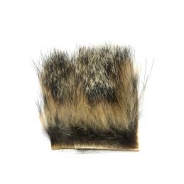 MARMOTTA