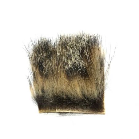 MARMOTTA