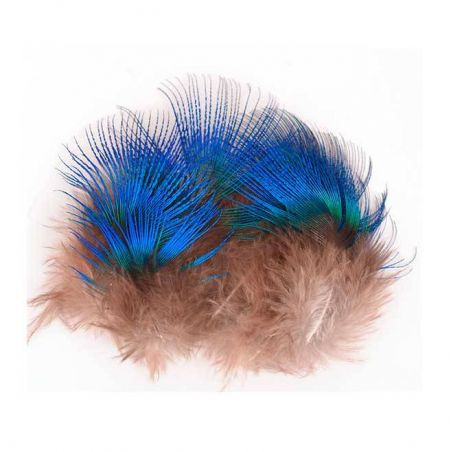 PEACOCK BLUE NECK