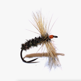 TENKARA SEMI SAN 17