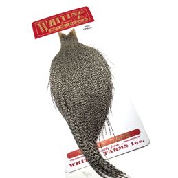 COLLO DI GALLO WHITING CAPE...