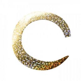 JUMBO WIGGLE TAIL HOLO GOLD FISHON - 1