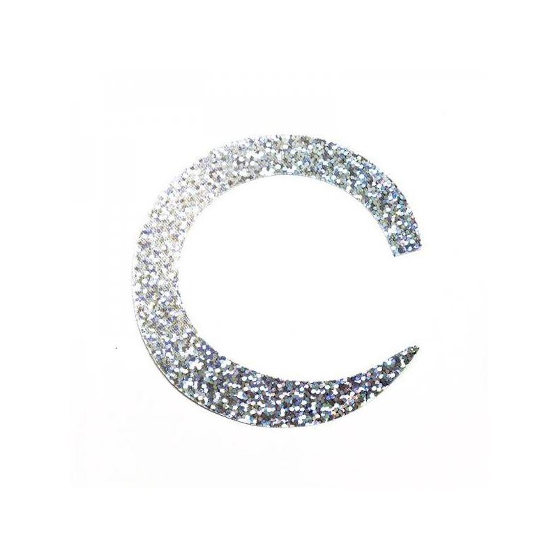 JUMBO WIGGLE TAIL HOLO SILVER FISHON - 2 JUMBO WIGGLE TAIL HOLO SILVER FISHON - 2