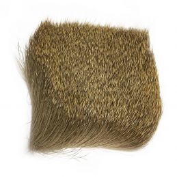 ROE DEER SWISS CDC - 1