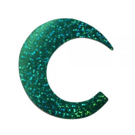 WIGGLE TAIL HOLO GREEN FISHON - 1