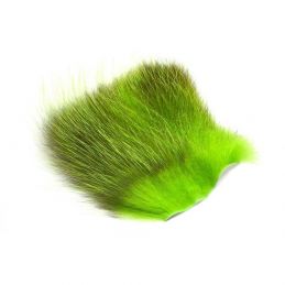 AMERICAN OPOSSUM CHARTREUSE FUTUREFLY - 1