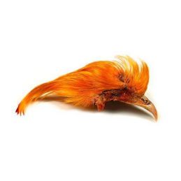 GOLDEN PHEASANT TOPPIN CREST ORANGE VENIARD - 1