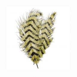 SIGNATURE INTRUDER DRABS - PALE OLIVE BARRED OPST - 1