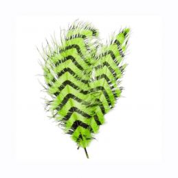 SIGNATURE INTRUDER DRABS - CHARTREUSE BARRED OPST - 1