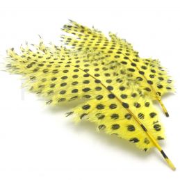 SIGNATURE INTRUDER DRABS - YELLOW DOTTED OPST - 1