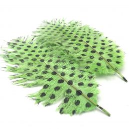 SIGNATURE INTRUDER DRABS - CHARTREUSE DOTTED OPST - 1