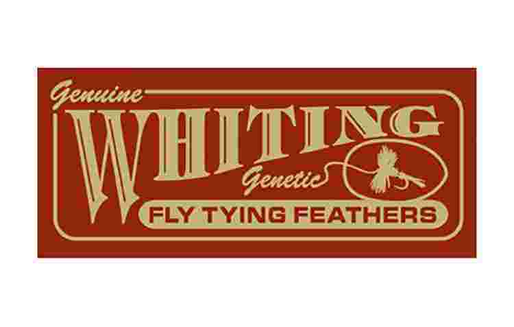 WHITING